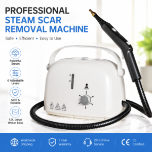 Electric 2600W Steam Cleaner (STQX-SX26X)