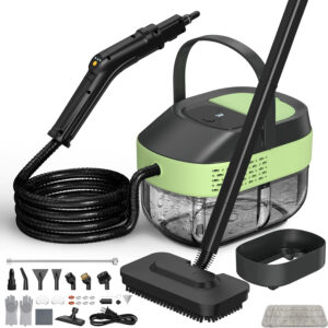 Handheld Steam Machine (TC-SC-008)