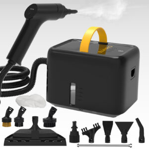 Steam Cleaning Machine(J009)